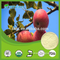 Pure natural and high quality apple juice concentrate powder                        
                                                Quality Choice